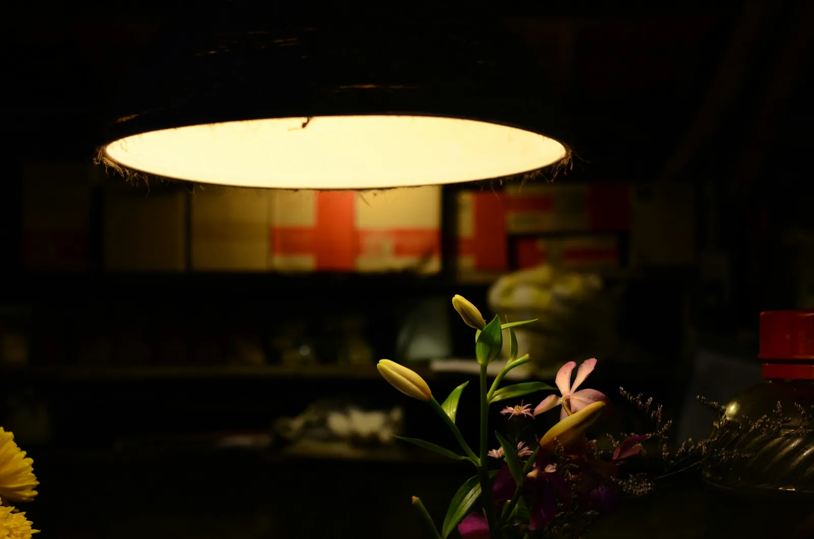 a light source, Lighting for Food Photography